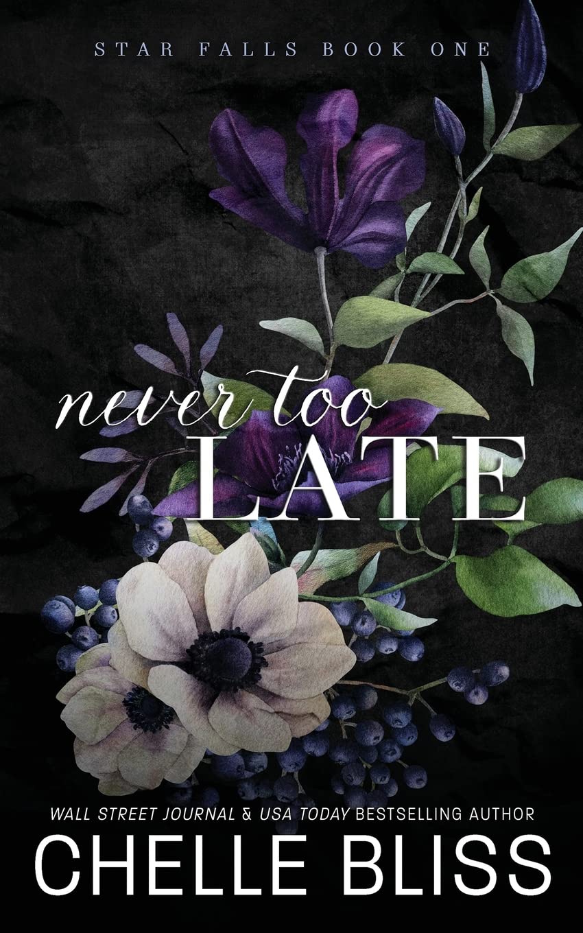 Never Too Late: Discreet Edition: 1 (Star Falls)