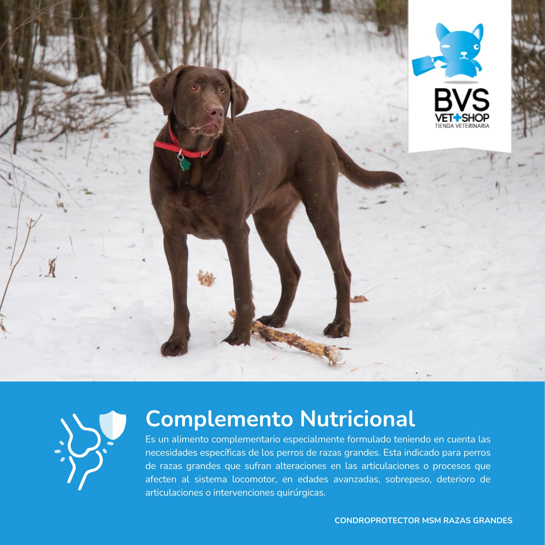 Condroprotector Razas Grandes MSM para Perros 150 Comprimidos
