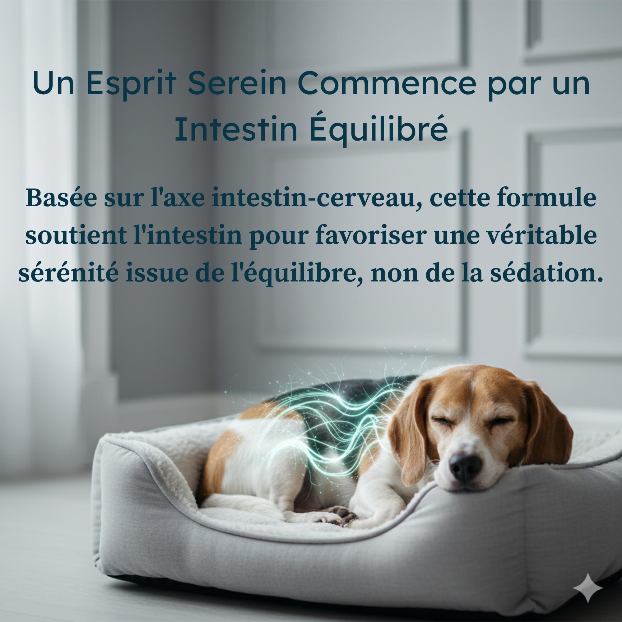 PetCultures Supplément Calmant Tribiotique – L-Tryptophane & L-Théanine, Probiotiques, Prébiotiques et Postbiotiques (30)