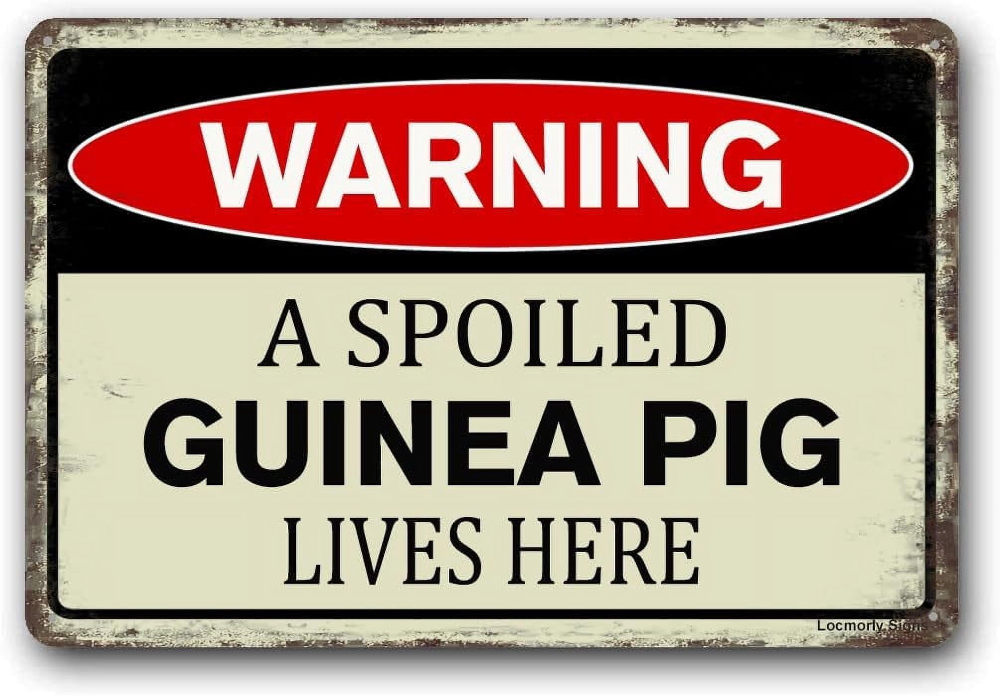 (2-Pack) Warning Metal Tin Sign a Spoiled Guinea Pig Lives here Sign, 8x12 Inch, Vintage Rustic Retro Sign