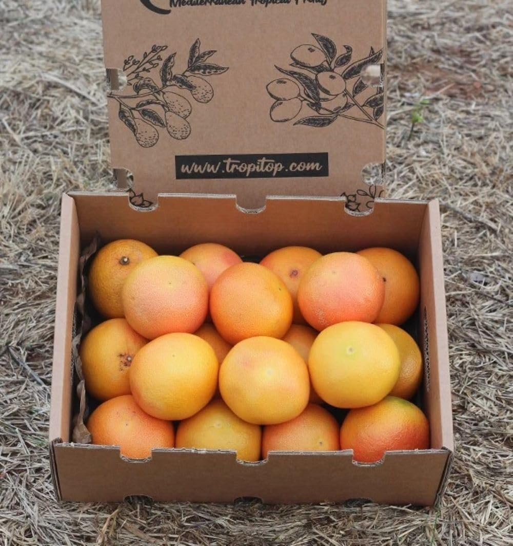 Pomelos caja 4 kg | Comprar Pomelos frescos de producción local en Castellón (España). Directos del agricultor, cultivo sostenible sin químicos ni pesticidas