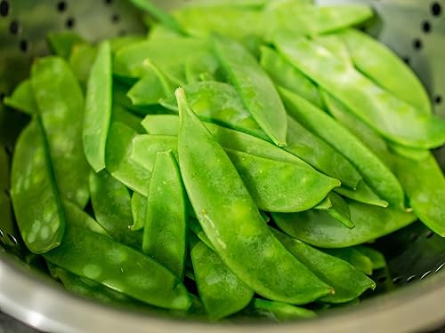 Miniatura 2 de 120 semillas de guisantes de azúcar derretidas de mammoth para plantar reliquia orgánica, sin OMG, 1 onza de semillas de guisante de nieve, jardín,