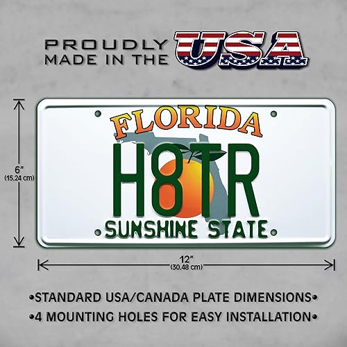 Miniatura 3 de 2 Fast 2 Furious  H8TR  Placa de matrícula estampada de metal