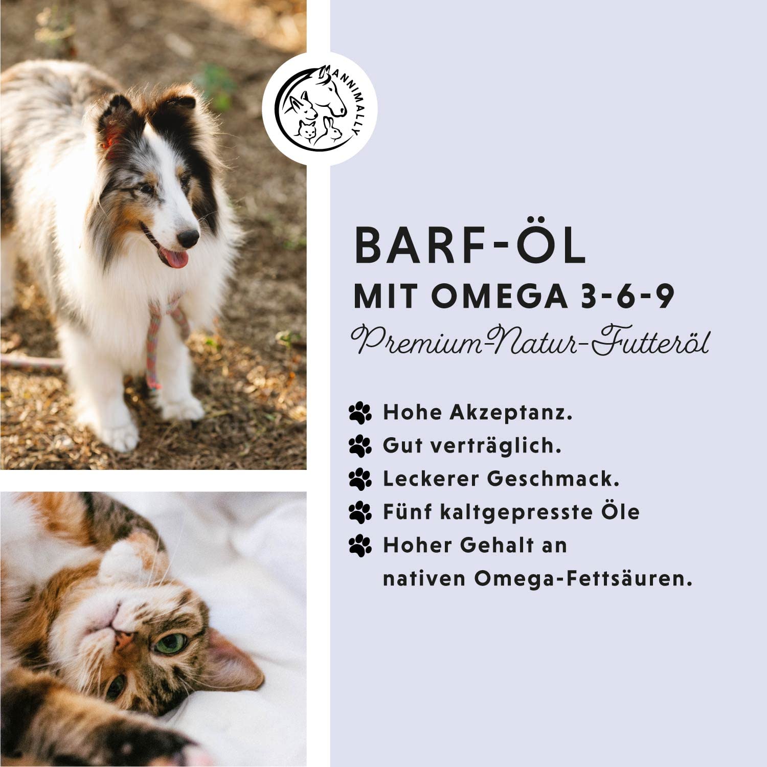 Barf Öl für Hunde 1000ml Barföl mit Omega 3-6-9 aus: Lachsöl, Rapsöl, Hanföl & Borretschöl - Futteröl für Hund als Futter Topping (Barf Zusatz)