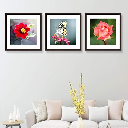 Miniatura 7 de VITOIVE Marco negro de 18 x 18 pulgadas con paspartú de madera maciza de 14 x 14 pulgadas, montaje en pared (1 paquete, 18 x 18 pulgadas)