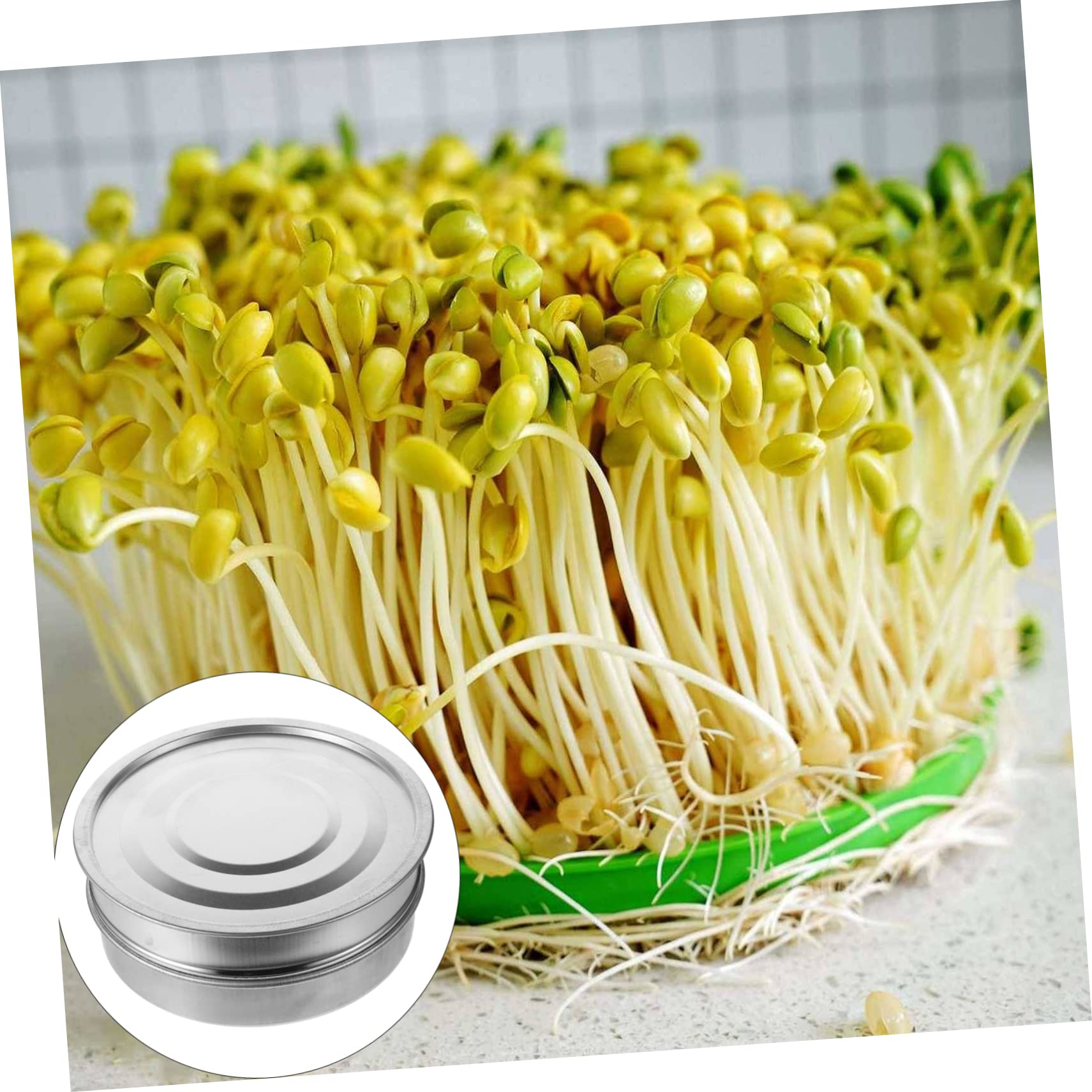 Abaodam 1 Set Vassoi Germoglianti Inossidabile da Kit per Germinazione Piante con Base Zincata Facile da Usare per Coltivazione e Balcone