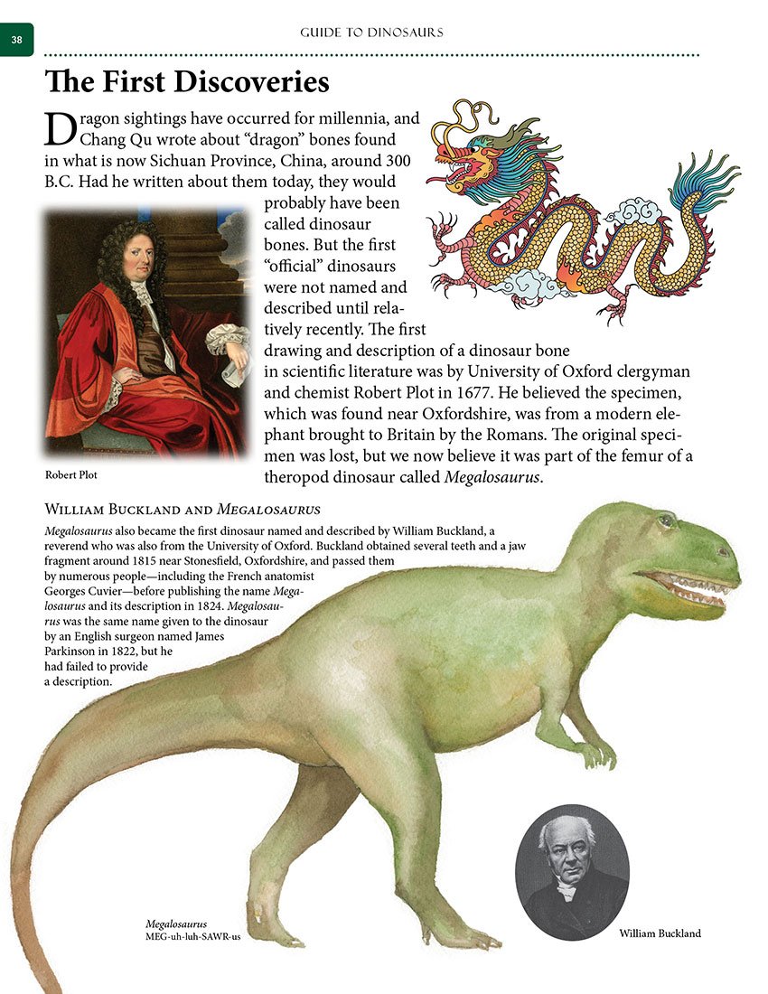 Guide to Dinosaurs - Image 5