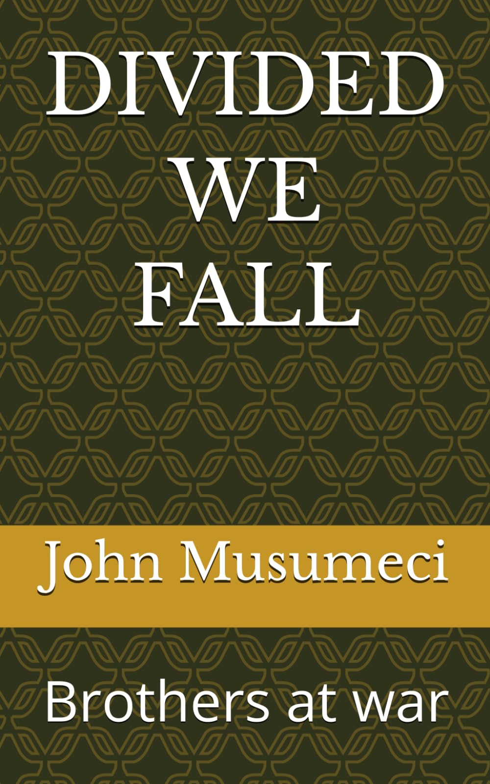 DIVIDED WE FALL: Brothers at war