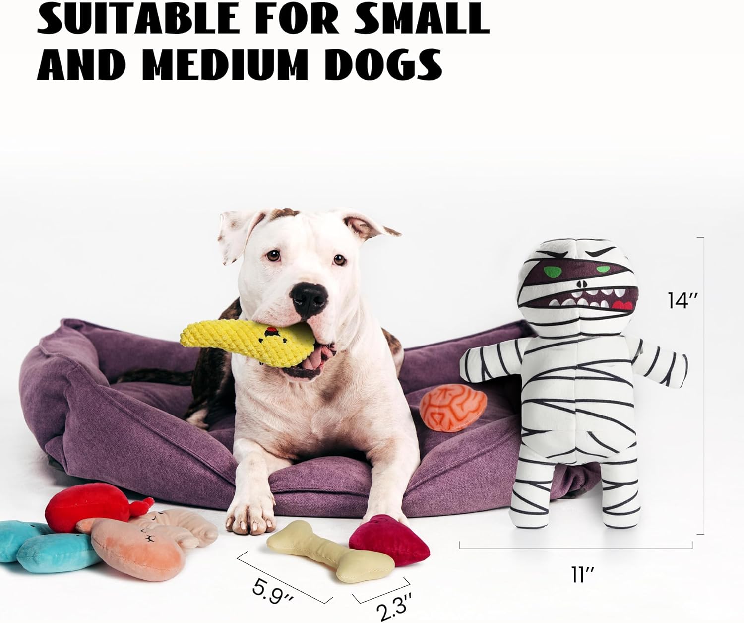 Nocciola Zombie Mummy Dog Toys with Organs: Funny Cool Hide and Seek Squeaky Chew Toys for Puppies, Small and Medium Size Breed, Plush Stuffed Cognitive Puzzle Toys for Training