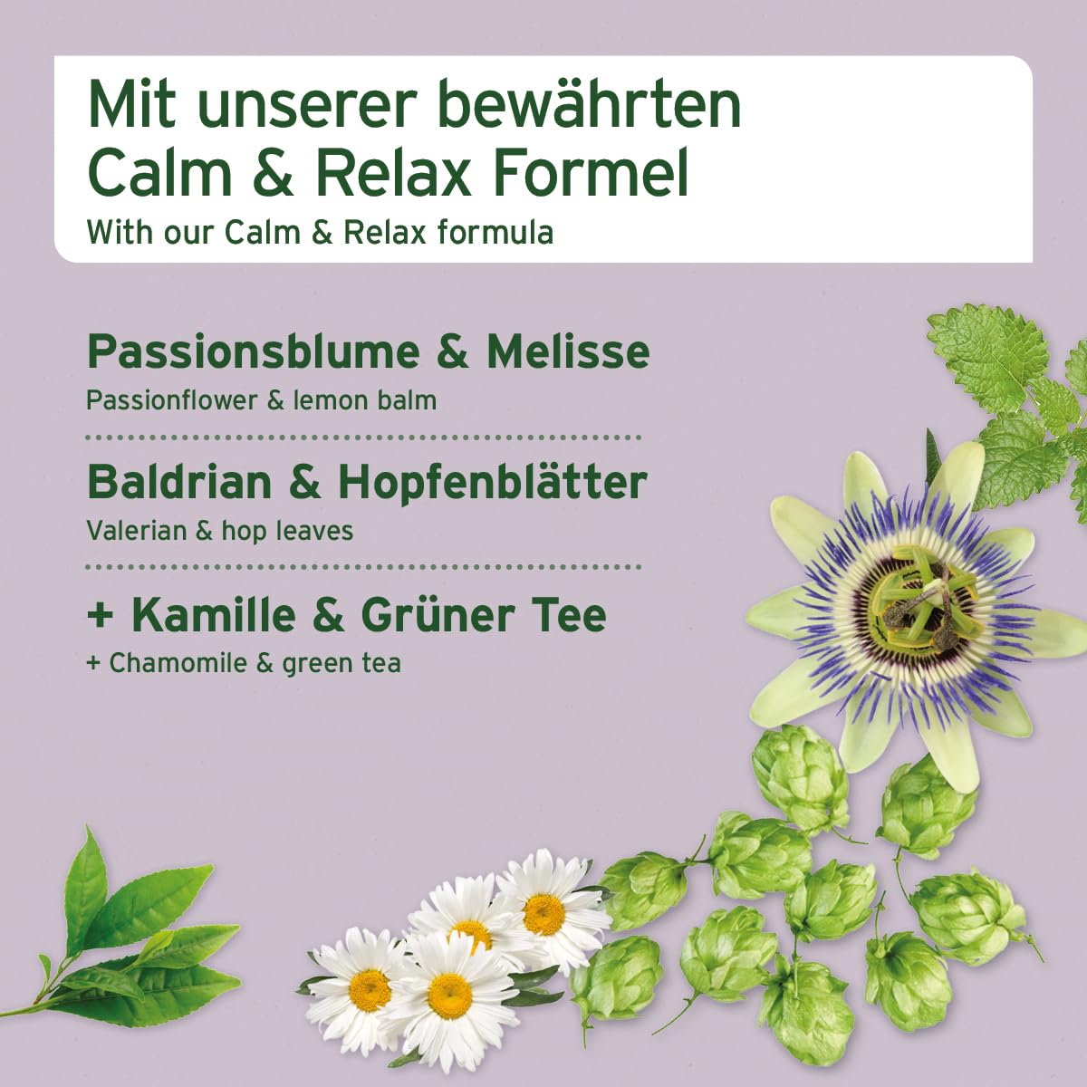 AniForte Relax Snack für Hunde 300g - Natürliche Entspannung & Beruhigung, Anti Stress Snack, mit Baldrian, Melisse, Rosmarin, unterstützt bei Stresssituationen, Angst, Nervosität