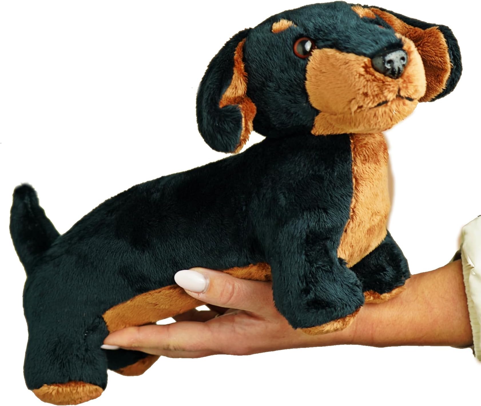30cm Sausage Dog Teddy