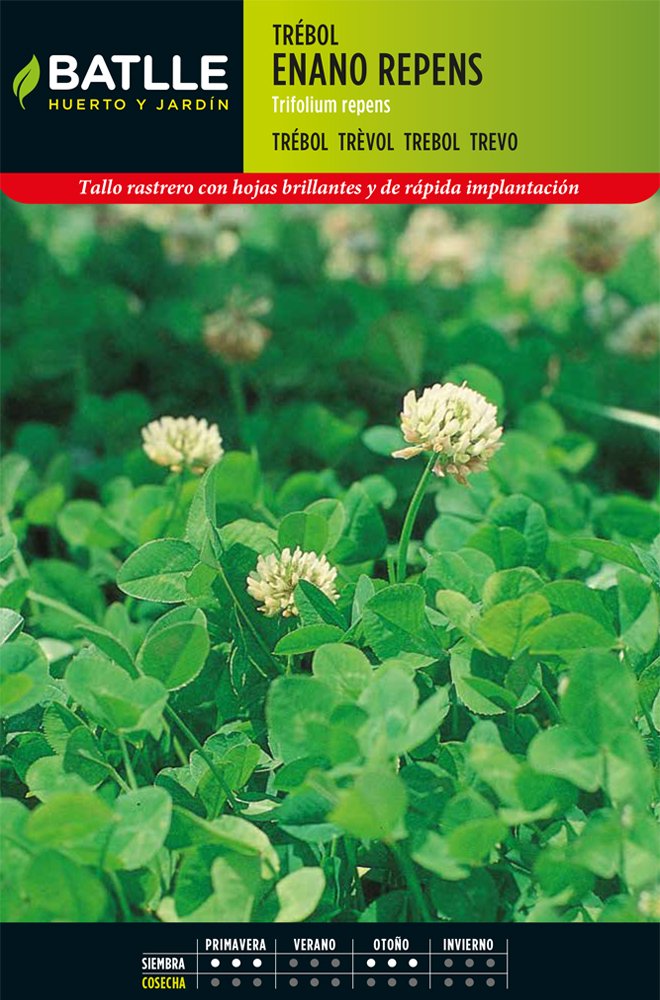 Productos Jardineria Trebol Blanco Enano Repens