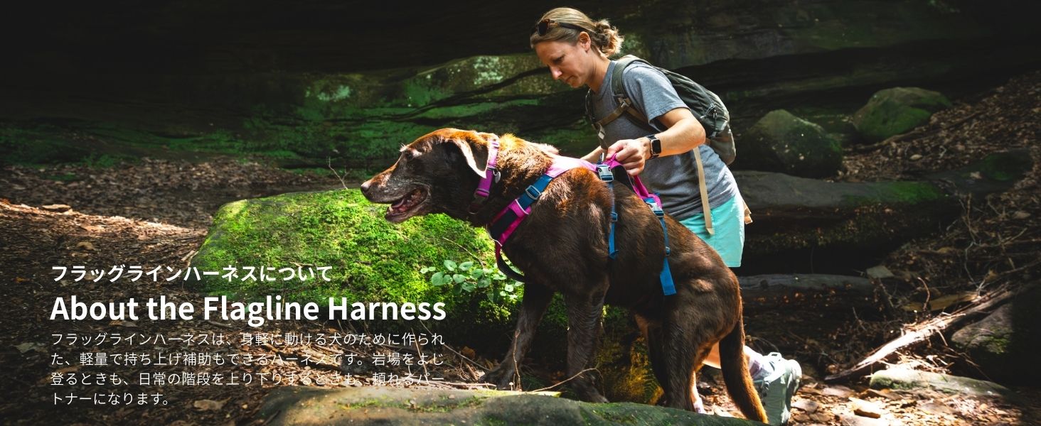 Amazon | RUFFWEAR(ラフウェア)公式 フラッグラインハーネス セージ