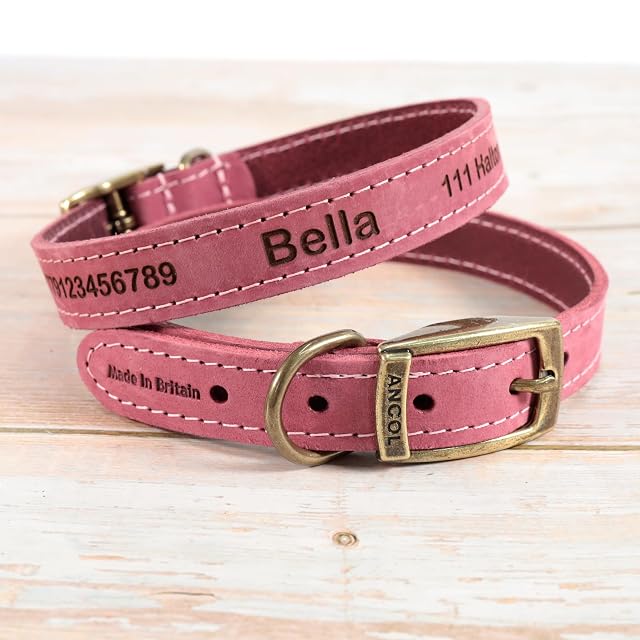 Foto 2 de 8 de Collar Personalizado de Cuero para Perros + Correa Opcional - Grabado con láser - Rojo, tamaño 1