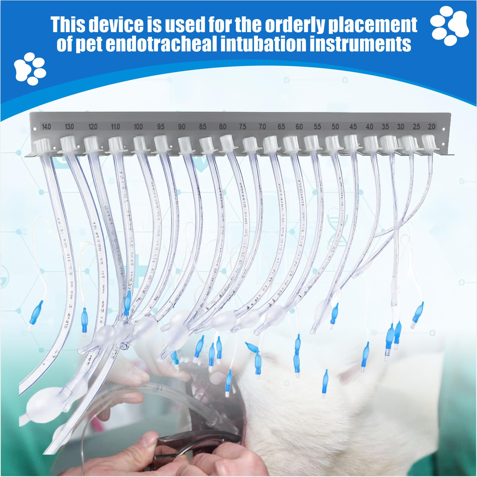 Soporte de pared para tubos veterinarios – Organizador de equipos de acero inoxidable para clínicas veterinarias, laboratorios y salas de peluquería, soporte 2.0-14