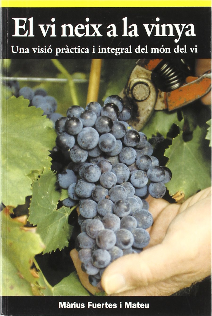 El vi neix a la vinya: Una visió pràctica i integral del món del vi (El Cullerot, Band 30)