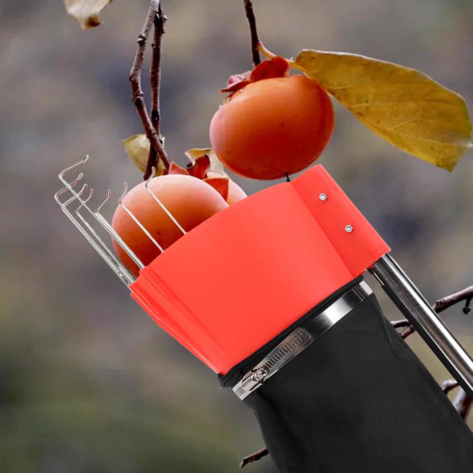 Wakects Recolector de Frutas con Mango Telescópico, Recogedor de Manzanas con Bolsa Embudo, para Cosechar Manzanas, Cítricos, Peras, Cerezas