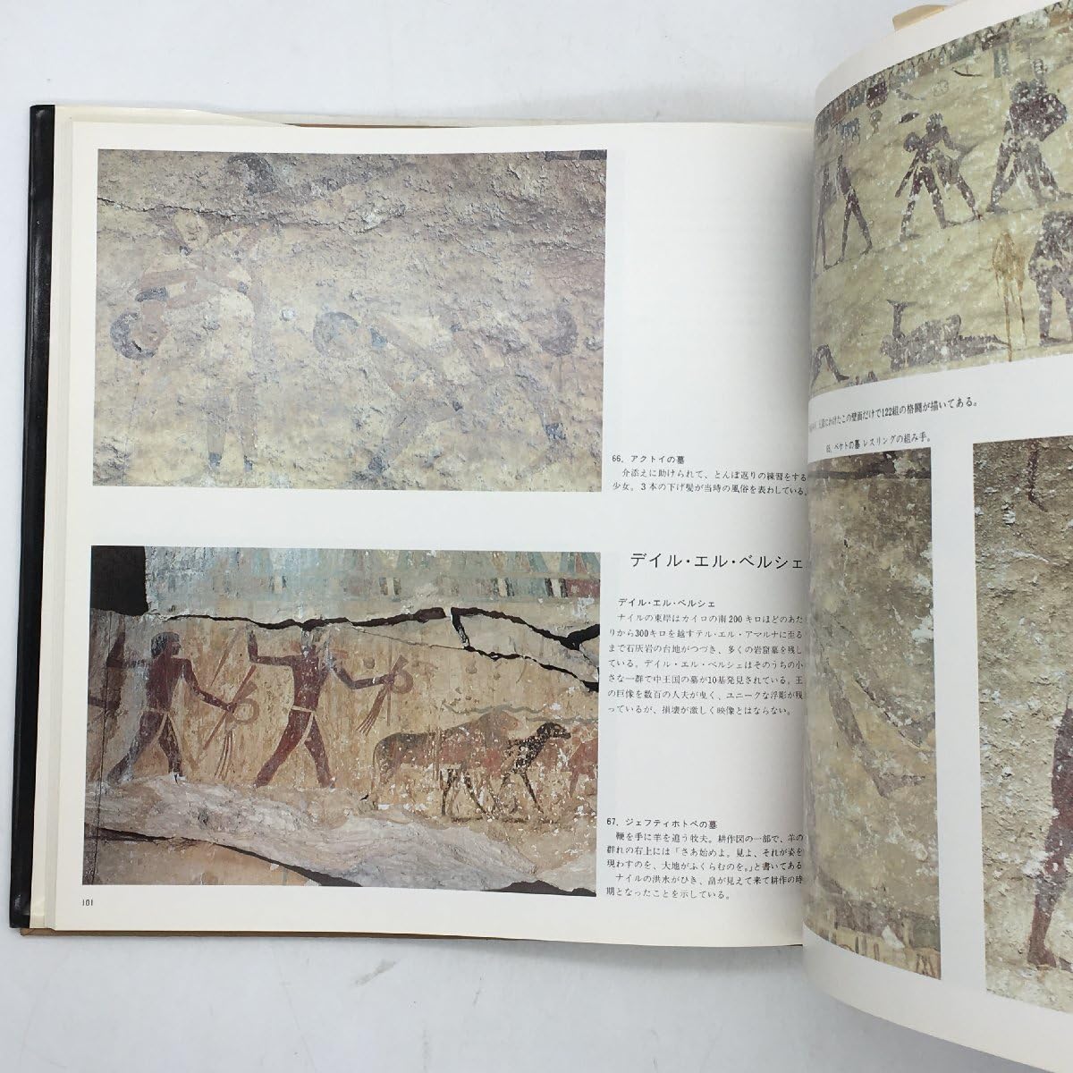 Amazon.co.jp: 古代エジプトの壁画 薄井憲二解説 杉山寧図版監修