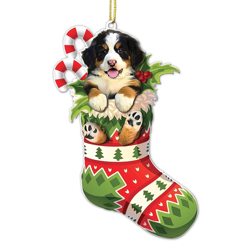 30 Best Gifts for a Bernese Mountain Dog Owner - iHeartDogs.com 24