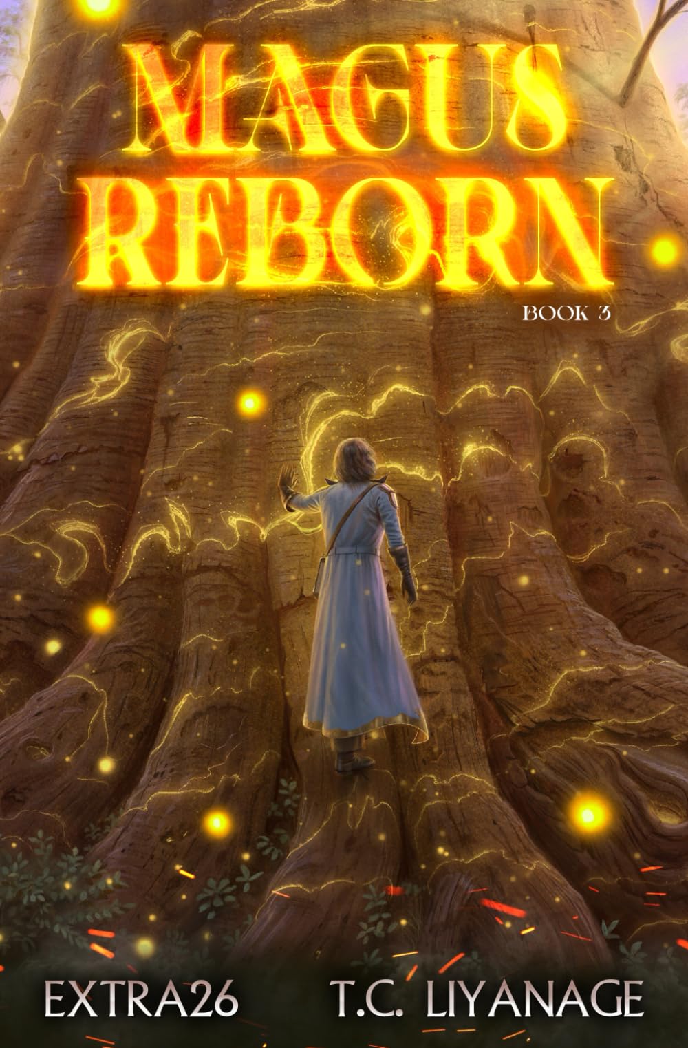 Magus Reborn 3: A Progression Fantasy Adventure