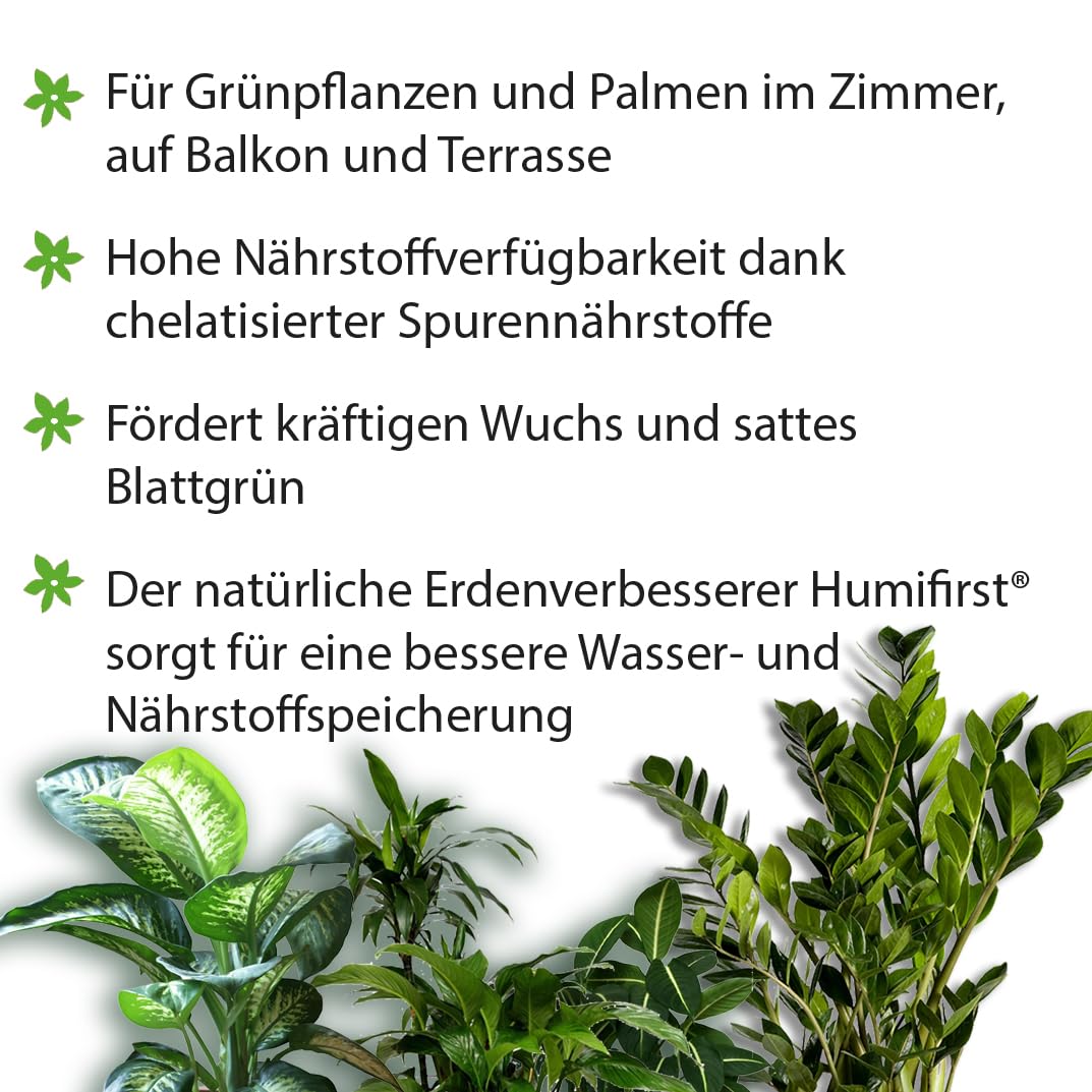 Substral Engrais vert pour plantes 1 l