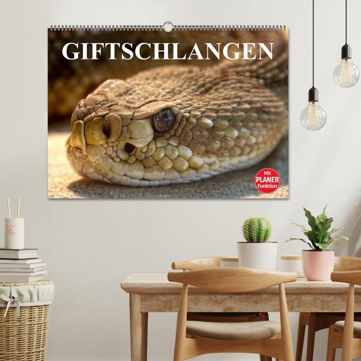 Giftschlangen (Wandkalender 2026 DIN A2 quer), CALVENDO Monatskalender: Die Familie der Vipern, Ottern und Giftnattern (CALVENDO Tiere)