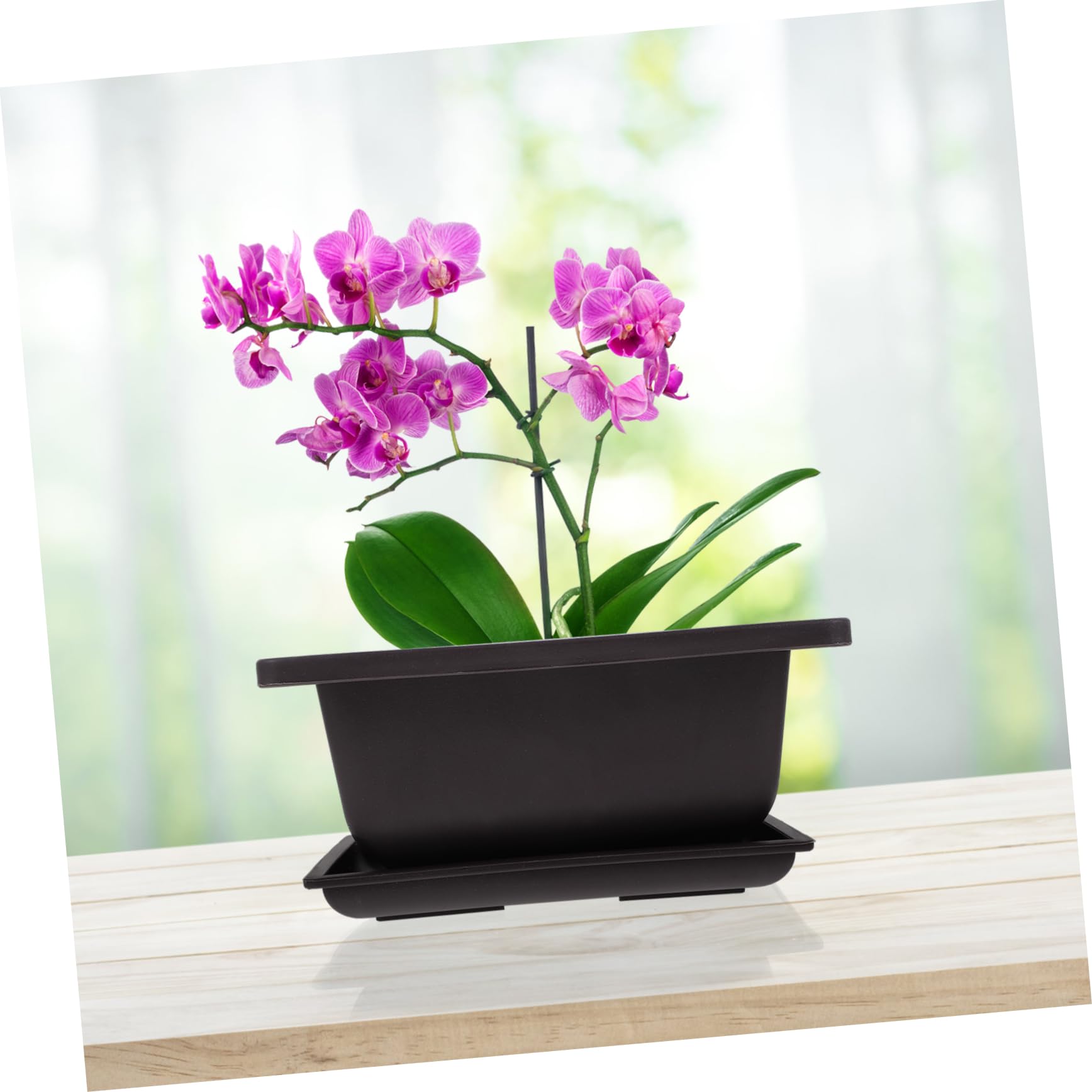 POPETPOP 6 Zestawów Doniczek Na Sukulenty Zestaw Prostokątnych Pojemników Do Sadzenia Doniczka Na Kaktusy Plastikowe Doniczki Na Sukulenty Akcesoria Do Bonsai Doniczka Na Drzewo Bonsai