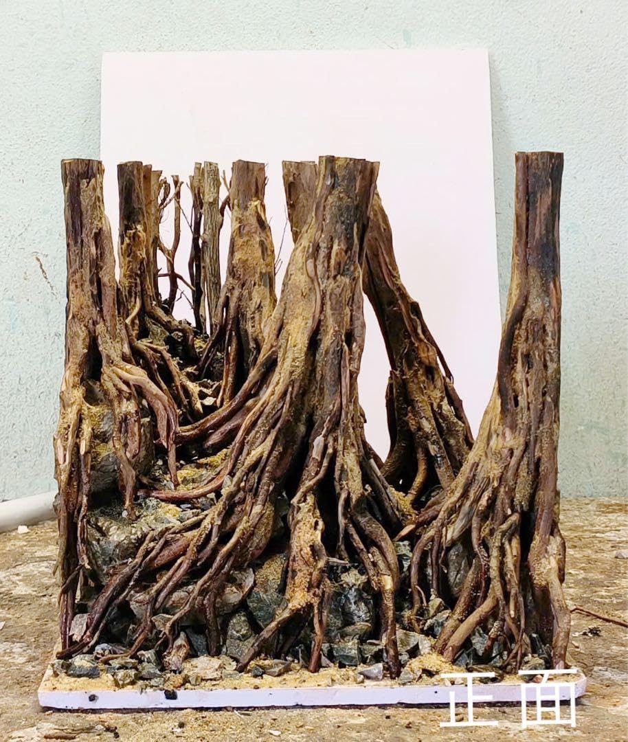 TTD 2025 爬虫類ゲージ。水槽。流木。水生植 物。水槽用流木 TTD 2025 爬虫類ゲージ。水槽。流木。水生植 物。水槽用流木