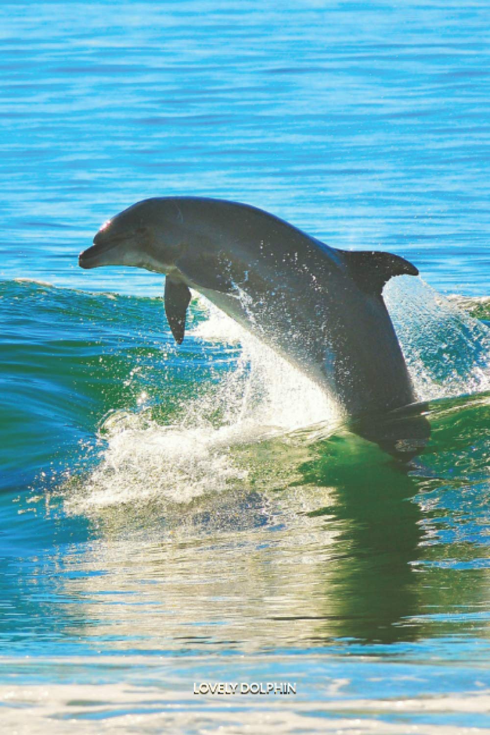 LOVELY DOLPHIN: Discreet Password Book With Alphabetical Order, 6x9" Internet Address & Password Keeper & Organizer Logbook To Remember Your Internet ... Password, Mobile Phone And Notes - 132 Pages