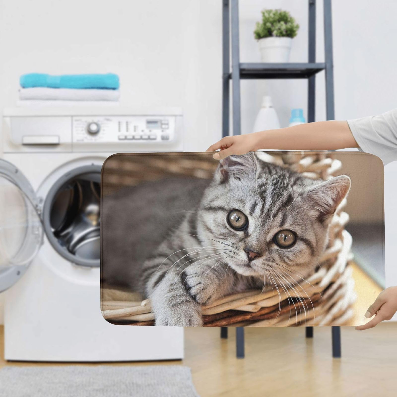 Set di 3 tappetini da bagno con gatto, in flanella, morbida, antiscivolo, con coperchio, decorazione per la casa