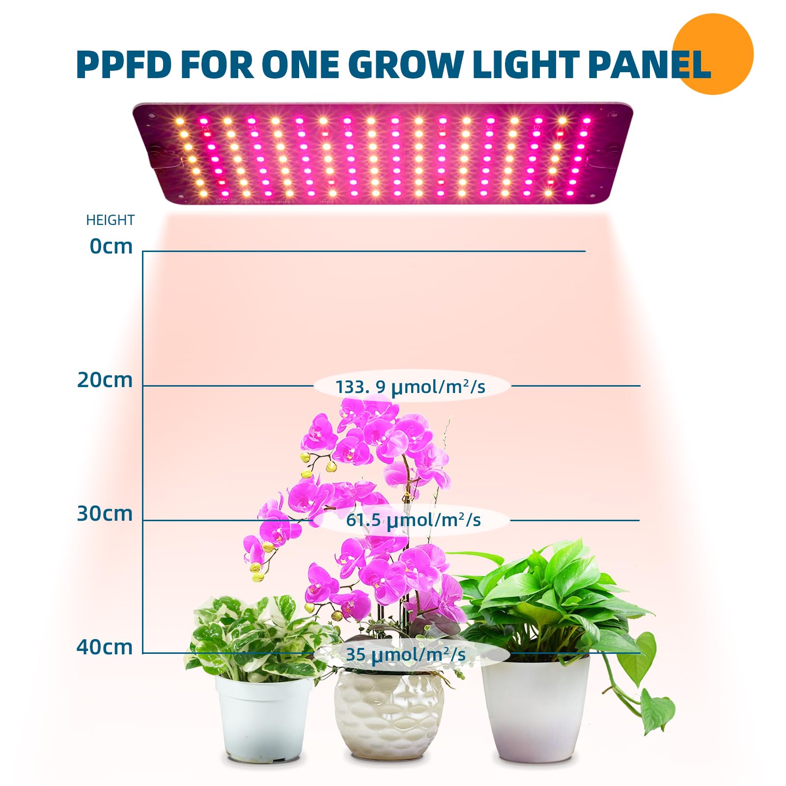 Barrina Lampe pour Plantes, 20W (2 x 10W) Panneaux de Lampes de Croissance Horticoles Minces à Spectre Complet Avec Minuterie Automatique 3/6/12H pour les Mini Serre pour Semis, 2 Barres