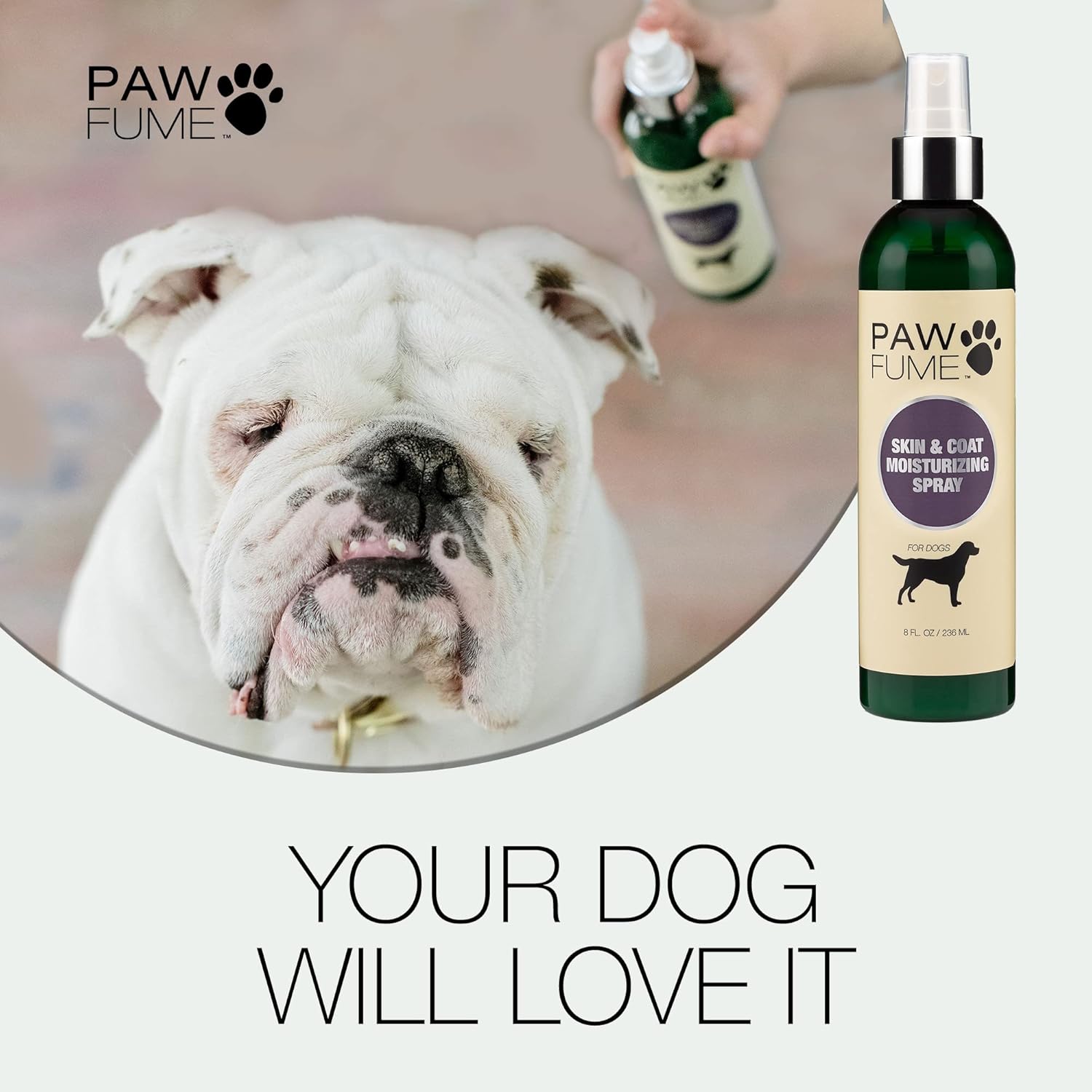 Pawfume Skin & Coat Moisturizing Spray Dog Lotion for Dry Skin – Dog Conditioner Spray for Dog Skin – Dog Leave in Conditioner Spray for Dog Dry Skin & Dog Itch Relief - Conditioner for Dogs Itch : Paw Fume : Pet Supplies