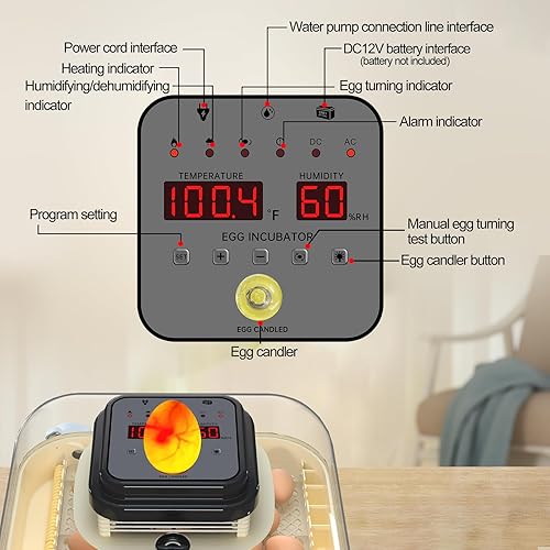 Miniatura 6 de Incubadoras para incubar huevos, incubadora de 35 huevos con giro automático de huevos y control de humedad, incubadora con vela de huevo para