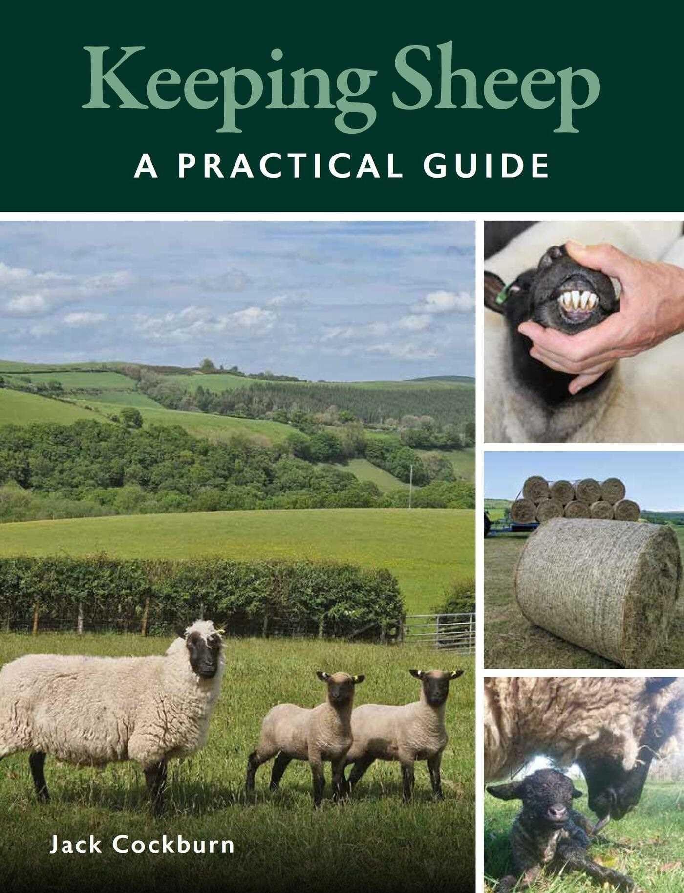 Keeping Sheep.by c*ckburn  New 9780719842214 Fast Free Shipping**