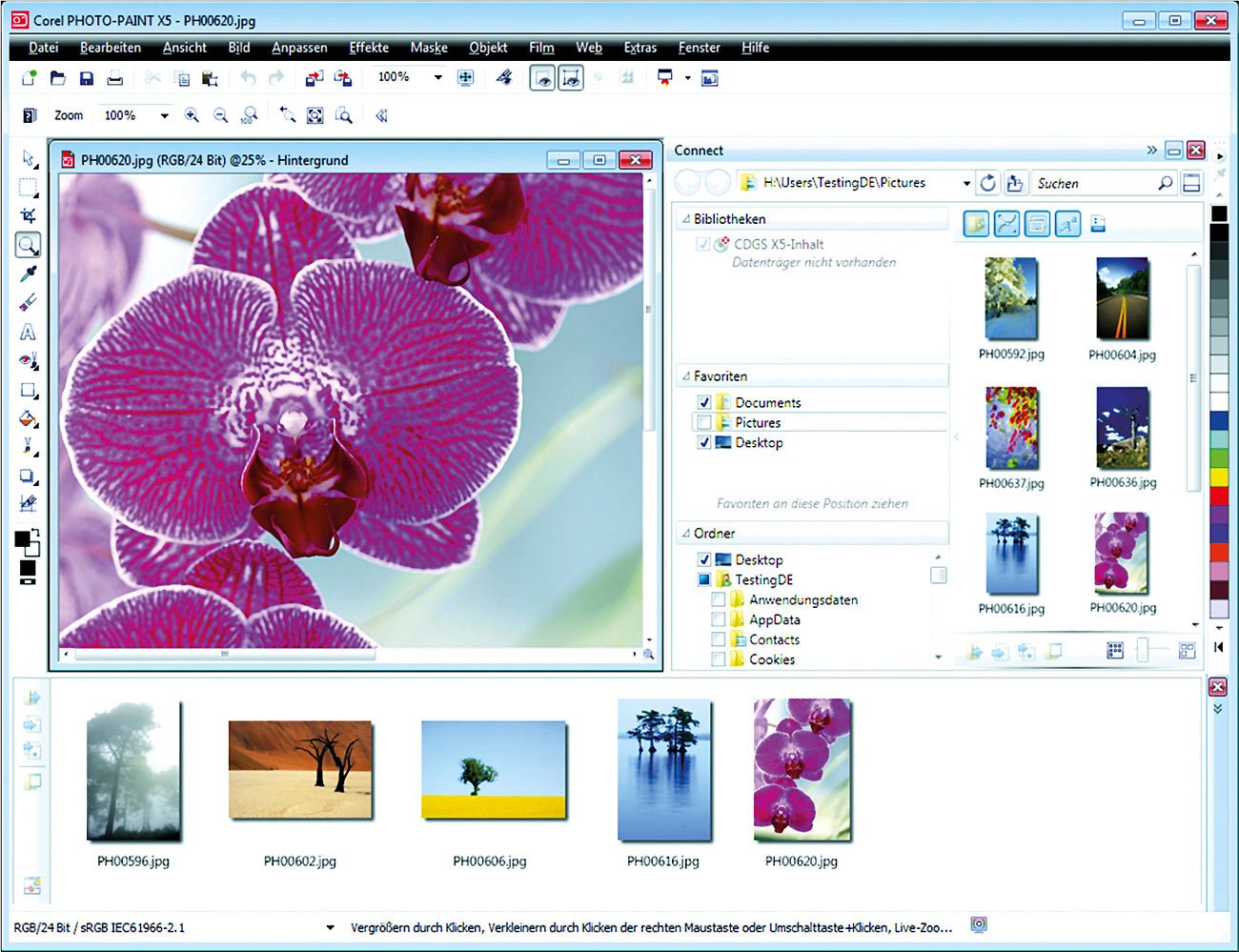CorelDRAW Graphics Suite X5 Home & Student