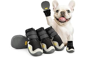 Dog Boots for Boxers: Cool, Comfortable, and Durable
