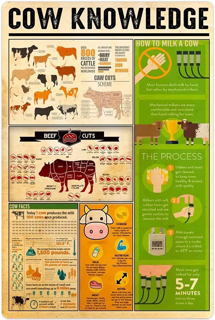 rayprint Anatomy of Cow Tin Poster Cow Knowledge Metal Tin Sign Animal Farm Club School Education Wall Decoration Plaque 12x16Inches
