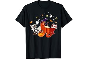 Ferret Zombie Witch Pumpkin T-Shirt for Halloween