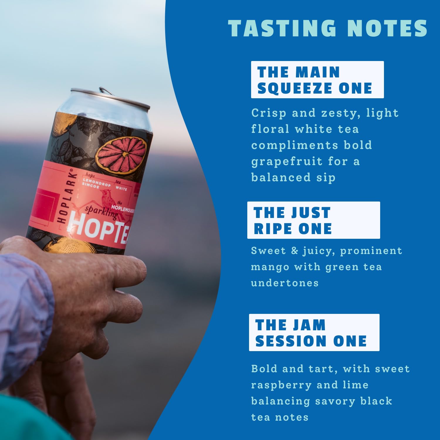HOPLARK Sparkling Hop Tea - THE JUICE BOX SAMPLER (RASPBERRY, MANGO, GRAPEFRUIT) - Tall 16Fl Oz Cans (12 pack) - Sparkling Hop Tea- Vegan, Zero Artificial Ingredients