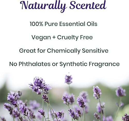 Miniatura 2 de Absolute Green Ambientador 100% natural en aerosol, no tóxico, ecológico, seguro en casa, alimentos, niños y mascotas, eliminador de olores en