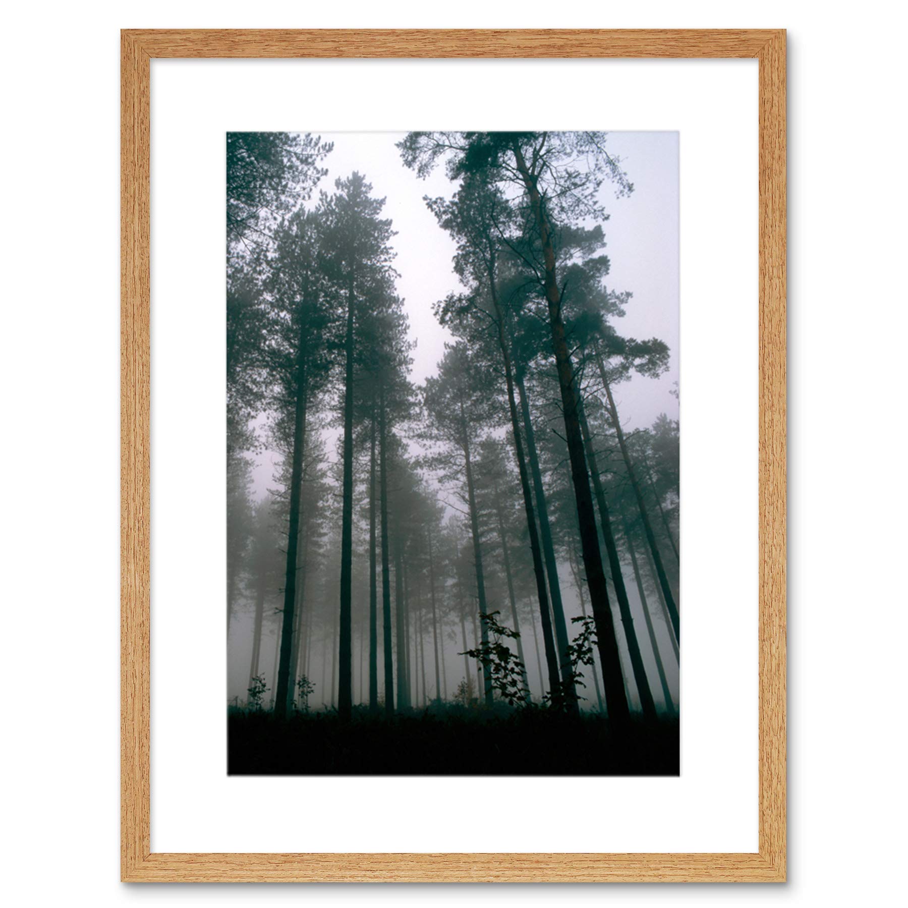Wee Blue Coo Thetford Forest Trees Mist Art Framed Wall Art Print
