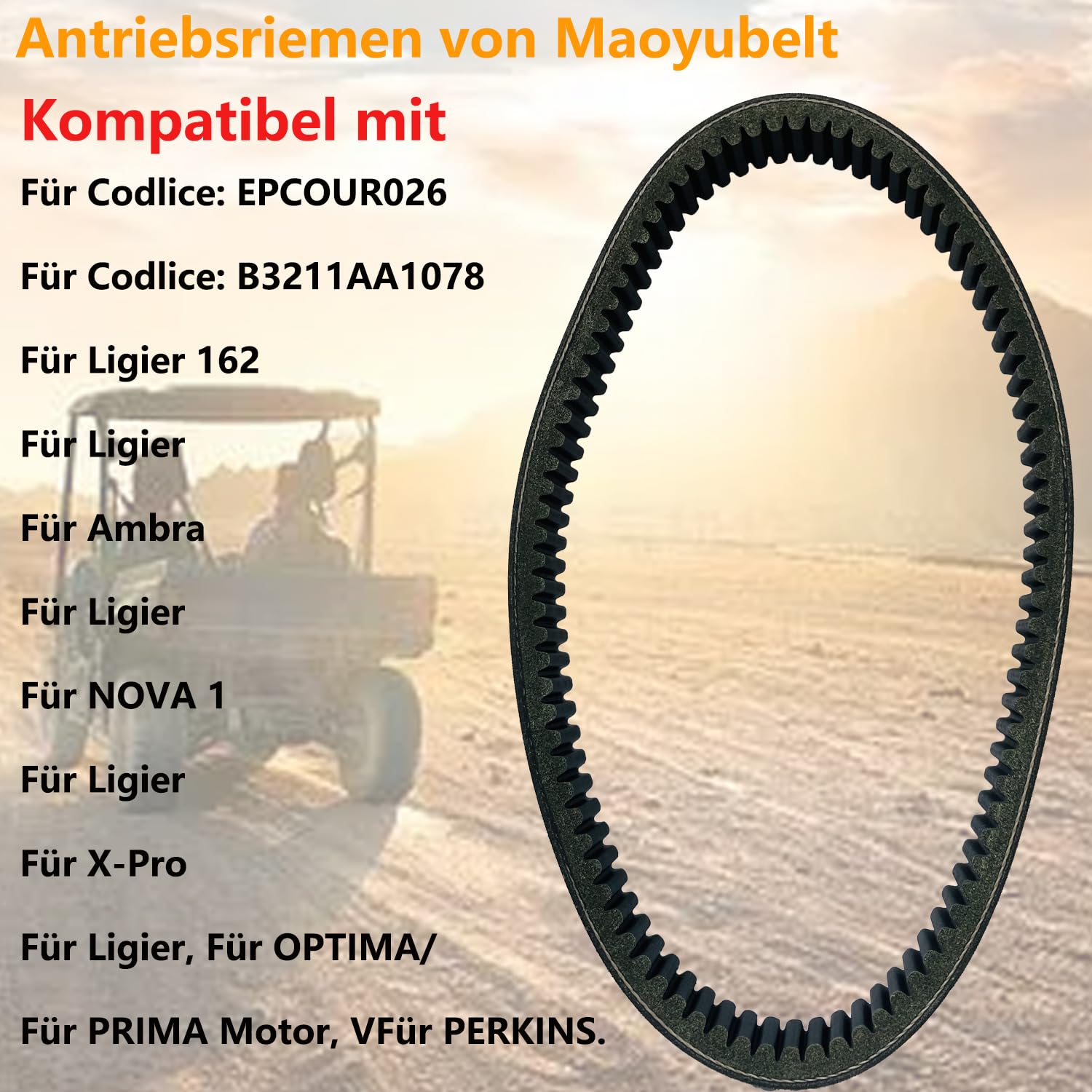 Cinghia trapezoidale Cinghia di trasmissione per moto frizione per Ligier 162 per Ambra per NOVA 1 X-Pro per Optima/per motore PRIMA per cinghia di trasmissione Perkins