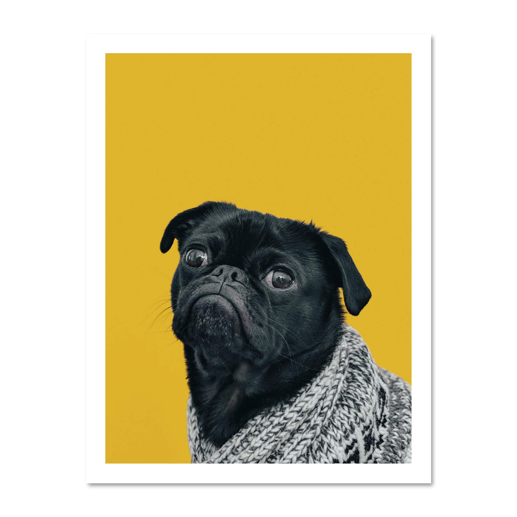 Deluvio Pug Dog Puppy In Sweater Large Framed Art Print Poster Wall Decor 18x24 inch