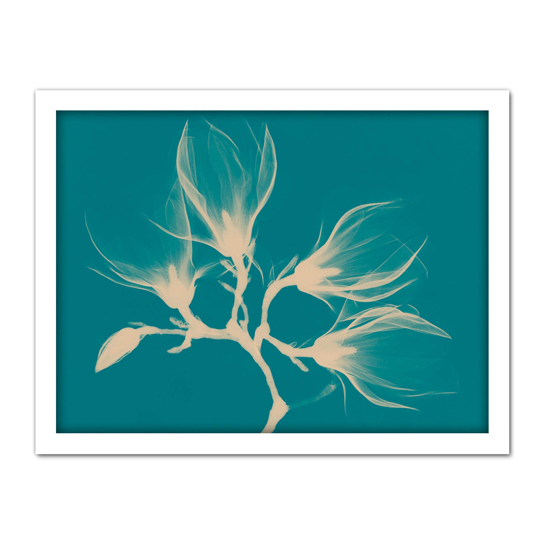 Wee Blue Coo Magnolia Branch Xray Blue Artwork Framed Wall Art Print 18X24 Inch