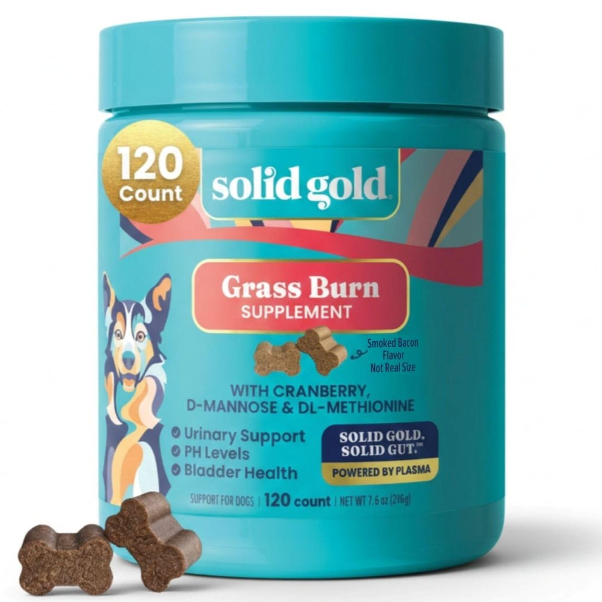 Solid Gold Dog Pee Grass Repair Chews - Dog Urine Neutralizer for Lawn w/Urinary Tract, Kidney, Bladder & pH Support to Reduce Grass Pee Spots & Burn - Pet Urine Neutralizer Treats - Bacon - 120ct