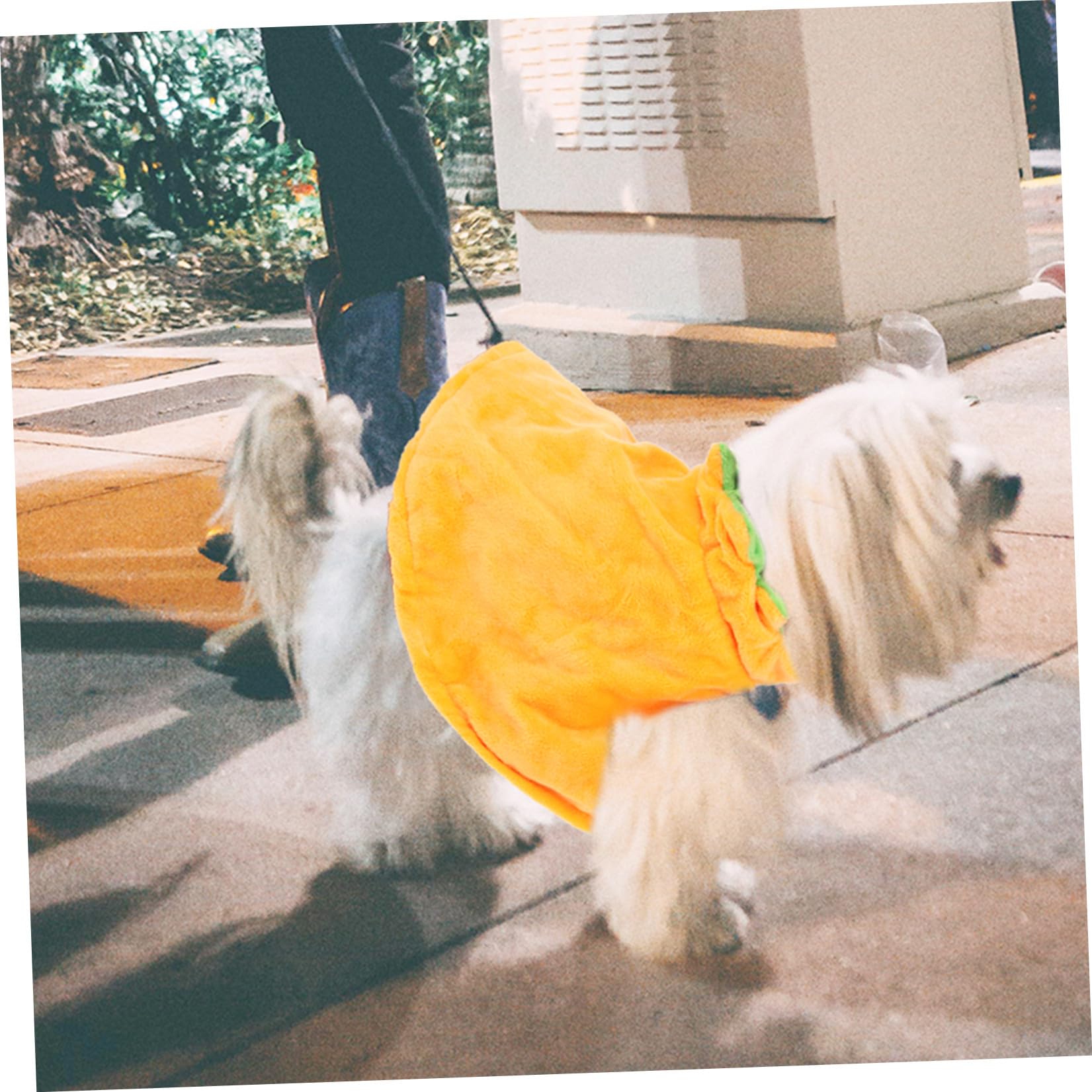 POPETPOP 3 Set Mantello Per Animali Domestici Vestiti Di Zucca Per Cani Costume Da Cane Mantello Per Cappello Da Compagnia Animale Domestico a Doppia Faccia Cappello Per Gatto Peluche