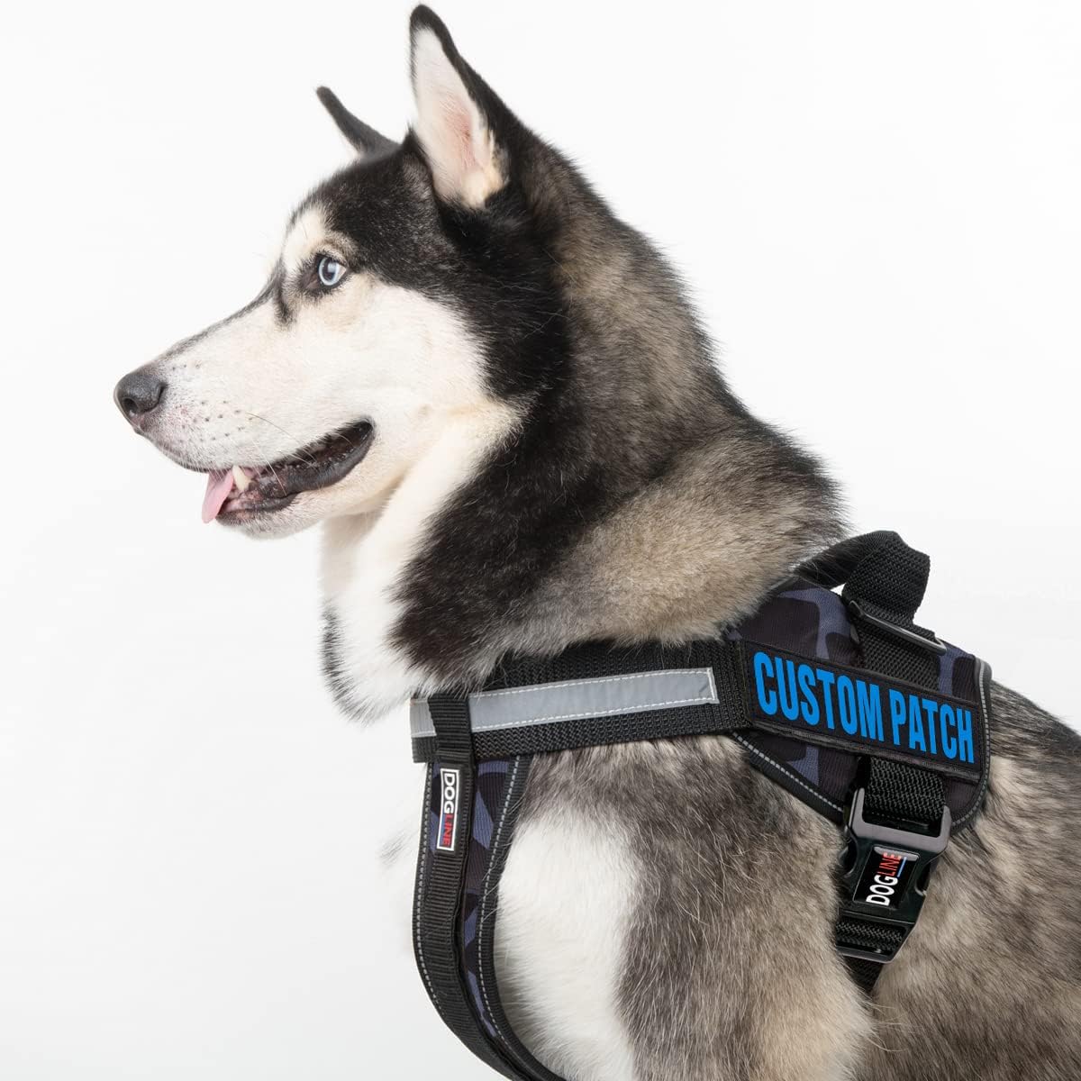 Dogline Custom Fluorescent Blue Text Patch for Vest Harness Or Collar Customizable Text Personalized Patches with Hook Backing Name Service Dog in Training Emotional Support (1 Patch) - 1.5" x 5"