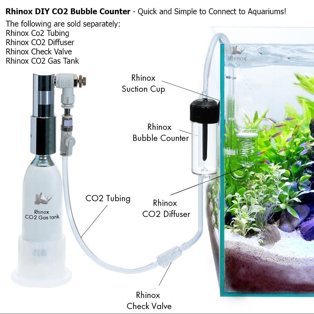 Diy Aquarium Bubbler ubicaciondepersonas.cdmx.gob.mx