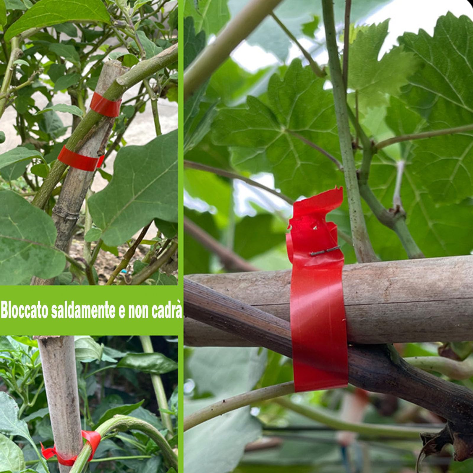 20 rotoli di nastro da giardino, rotolo di nastro vegetale, 10000 punti per piantare pomodori vigneti, vigneti, fiori (c)
