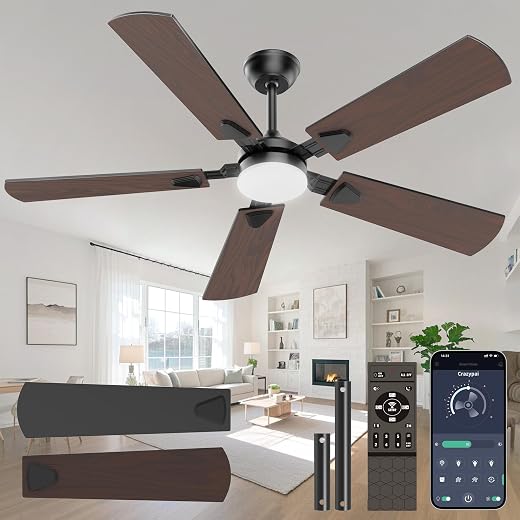 Ceiling Fans